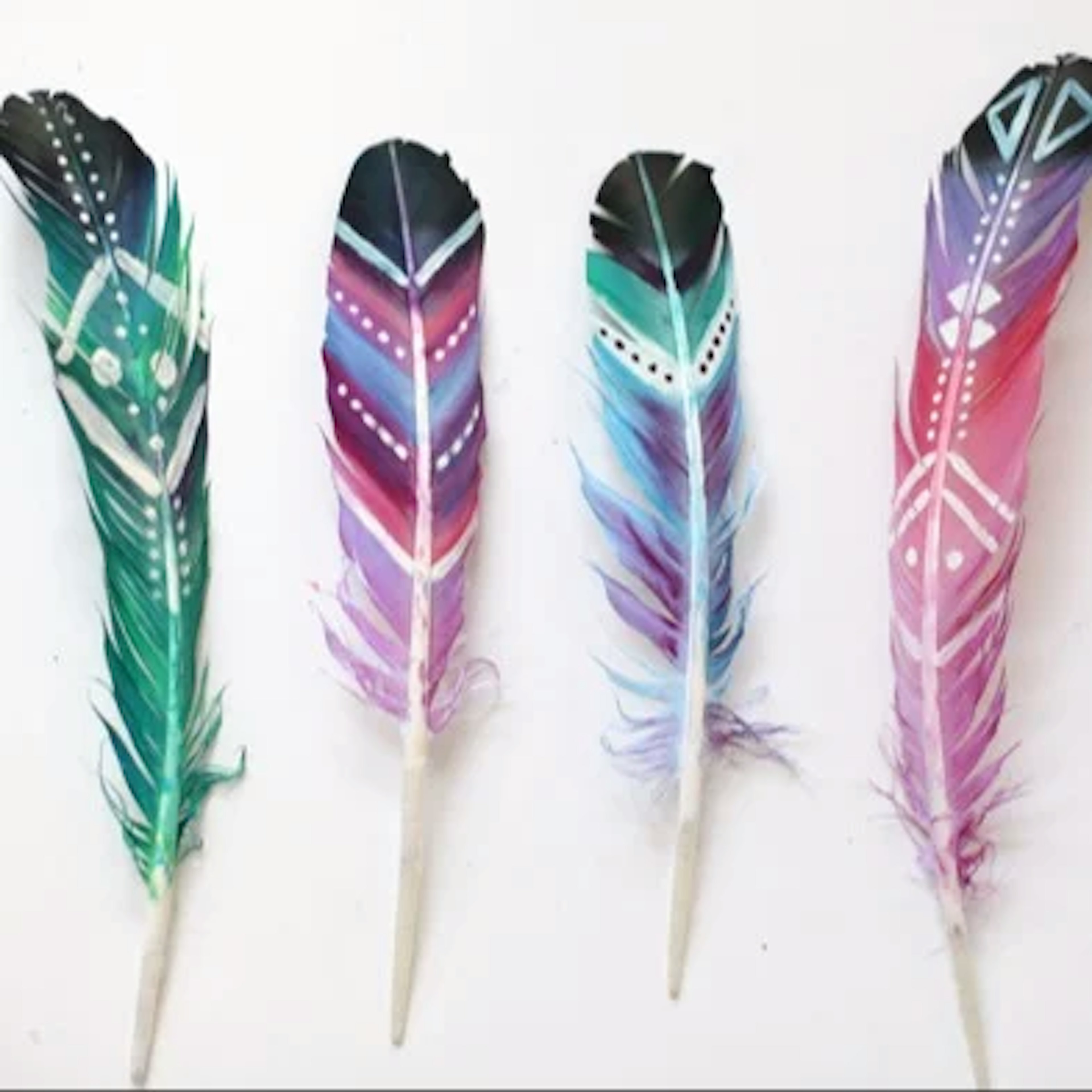 Painted Feathers