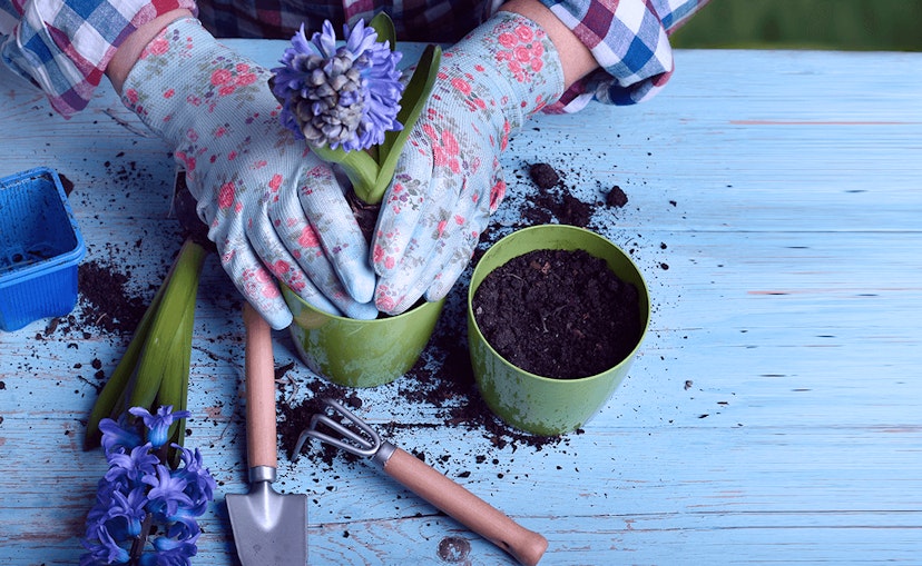 earth day planting