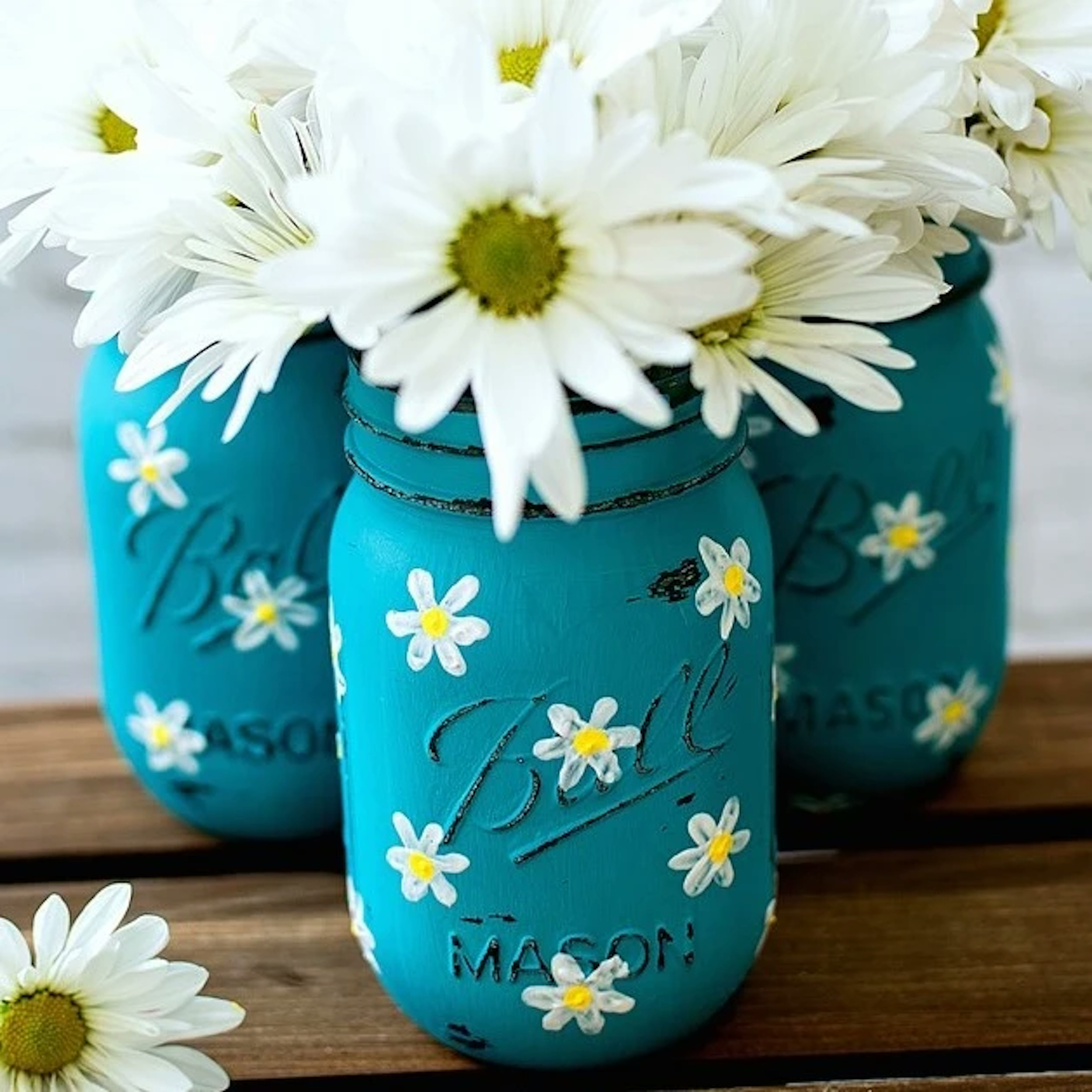 daisy Mason Jars 