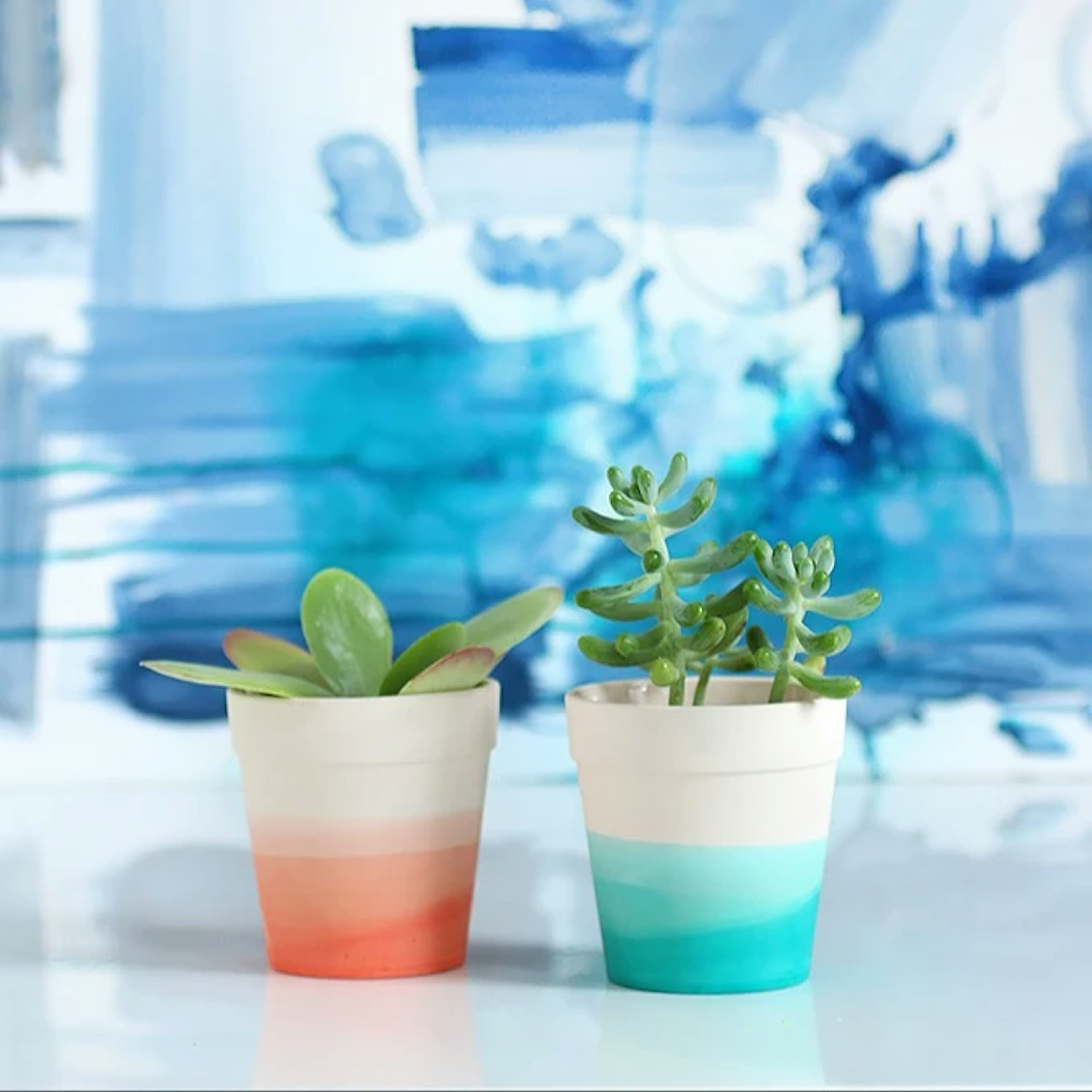 Dip Dye Succulent Pot