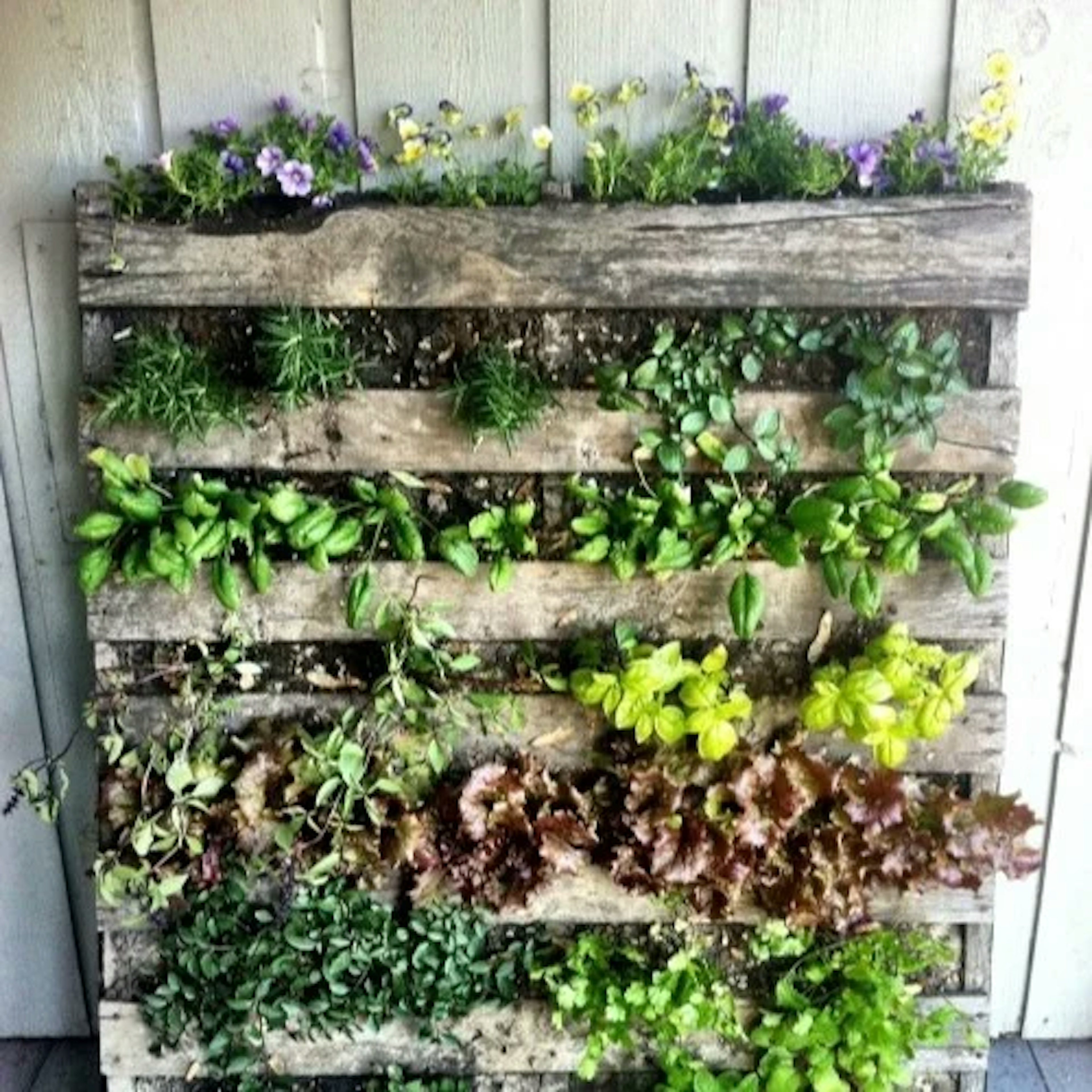 Pallet Garden