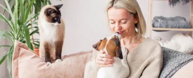 Ibotta-DLP-BlueBuffalo-Banner-2-123125-V01a