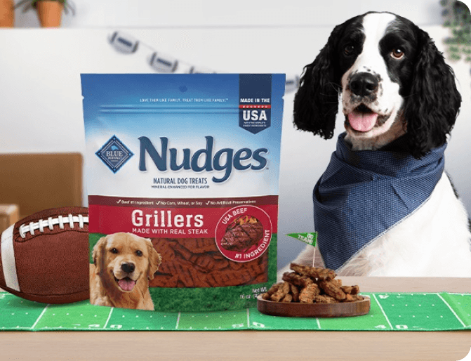 Ibotta-DLP-BlueBuffalo-Treats-123125-V01a-Hero