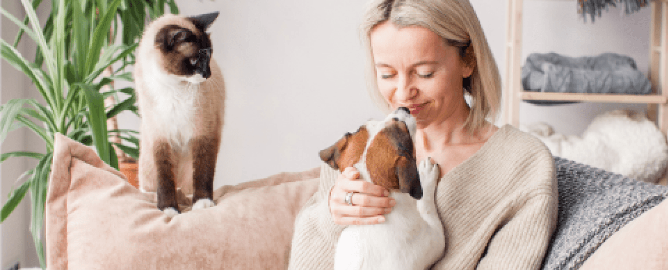 Ibotta-DLP-BlueBuffalo-Banner 2-093025-Desktop