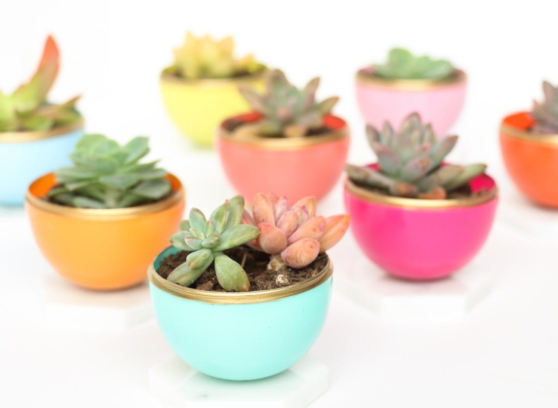 Spring succulent craft