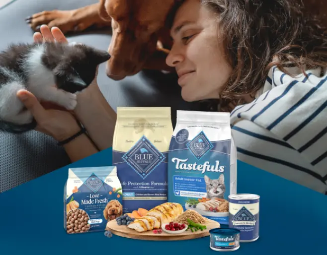 A handsome cat sitting behind a bag of Blue Buffalo Tastefuls Gravy