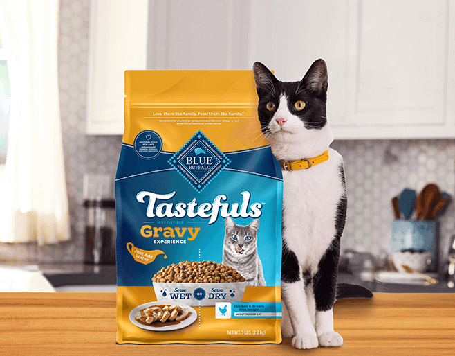 A handsome cat sitting behind a bag of Blue Buffalo Tastefuls Gravy